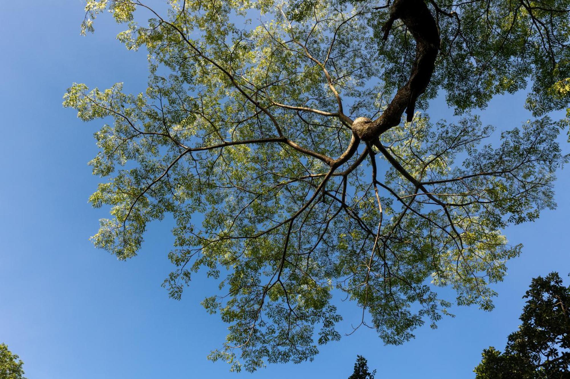 Greenwood Edge Kandy Dış mekan fotoğraf